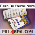 Black Ant Pill 11